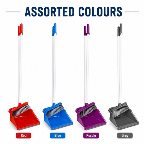 Dustpan and brush - brush, extra