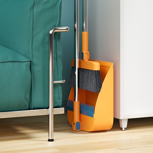 Long handled dustpan and - long,